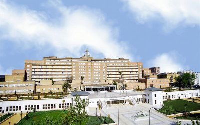 El Virgen del Rocío, en el ‘top ten’ de la gestión nacional de la pandemia