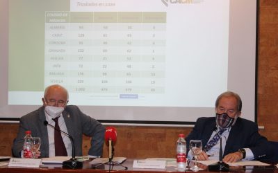 “En Andalucía hacen falta más médicos”