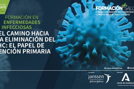 Curso El Camino hacia la Eliminación del VHC: El Papel de Atención Primaria