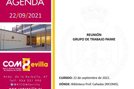 Reunión Grupo de Trabajo PAIME