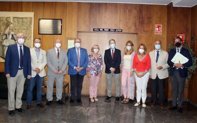 El Consejo Andaluz de Colegios de Médicos plantea reivindicaciones esenciales para la Atención Primaria
