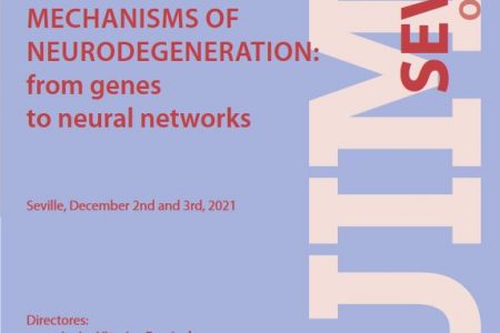 VI UIMP-IBIS School of Biomedicine Mechanisms of neurodegeneration: from genes to neural networks