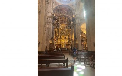La Vocalía de Médicos Jubilados organiza una visita guiada a la Iglesia del Salvador de Sevilla