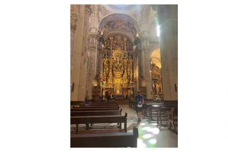 La Vocalía de Médicos Jubilados organiza una visita guiada a la Iglesia del Salvador de Sevilla