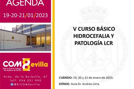 V Curso Básico Hidrocefalia y Patología LCR