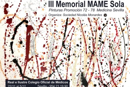 Exposición de pintura «III Memorial Mame Sola» en el RICOMS