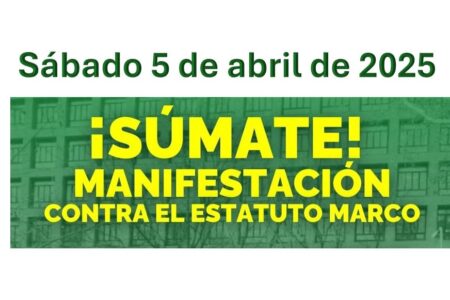 Gran manifestación en Madrid contra el proyecto de Estatuto Marco