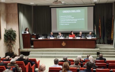 Celebración de la Asamblea General del Real e Ilustre Colegio Oficial de Médicos de Sevilla