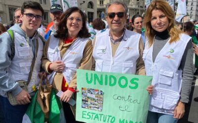Gran participación de los médicos de Sevilla en la manifestación celebrada en Madrid contra el proyecto de Estatuto Marco