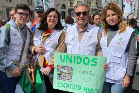 Gran participación de los médicos de Sevilla en la manifestación celebrada en Madrid contra el proyecto de Estatuto Marco
