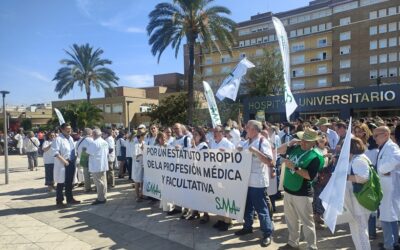 El Colegio de Médicos de Sevilla participa en la huelga contra el Proyecto de Estatuto Marco