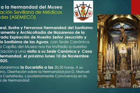Visita de ASEMECO a la Hermandad del Museo