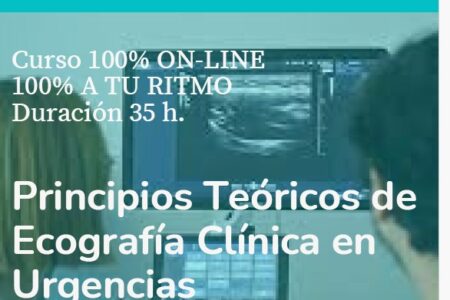 Curso on line «Principios teóricos de Ecografía Clínica en Urgencias» (6ª edición)
