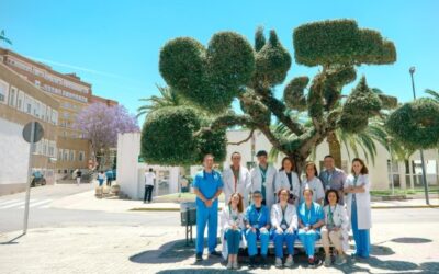 El Virgen del Rocío llega a su máximo histórico de trasplantes y donaciones el primer semestre de 2026